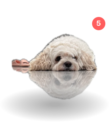 Claude Pet 睡觉状态示例